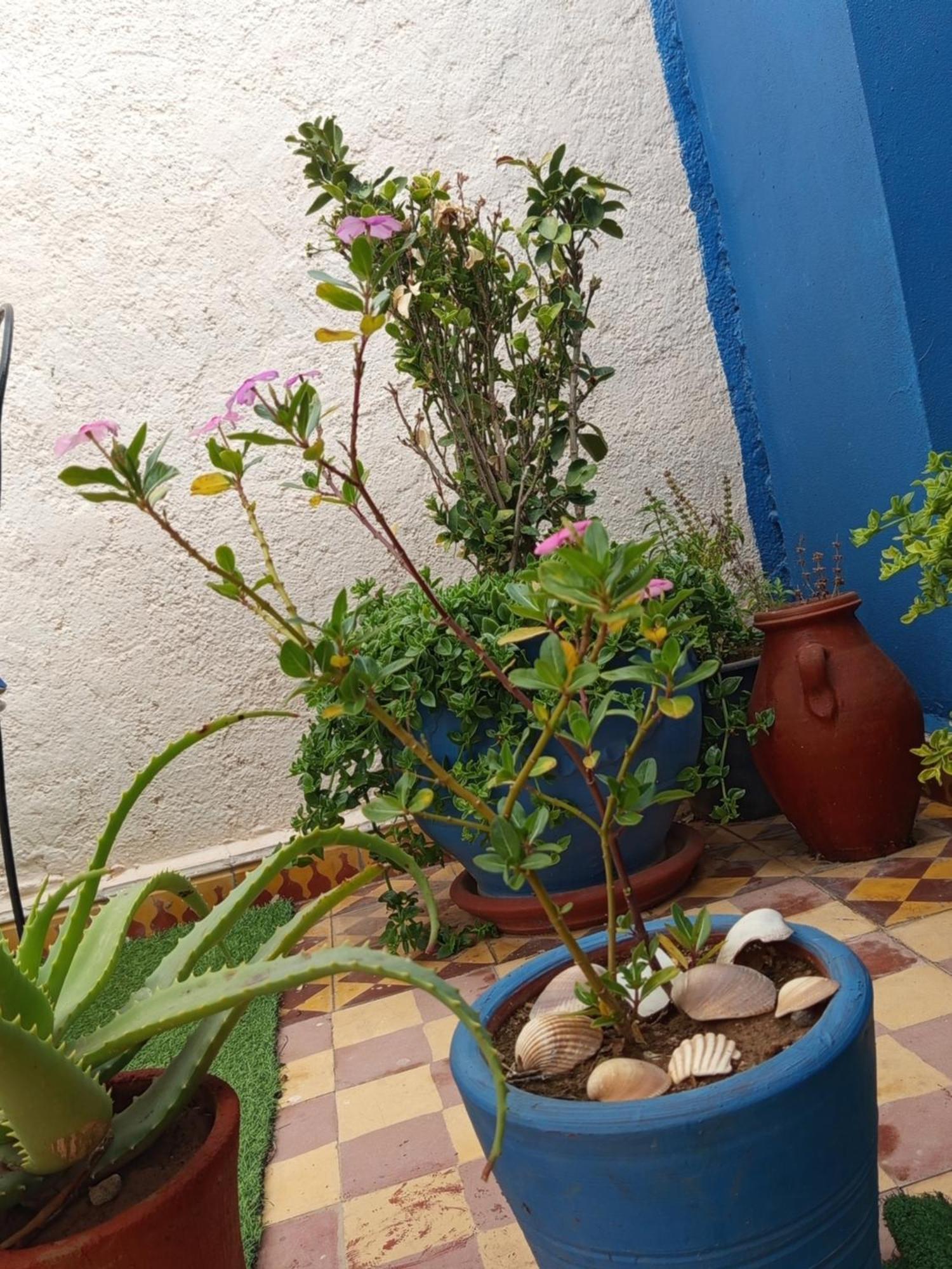 Riad Derb El Aarsa Μαρακές Εξωτερικό φωτογραφία